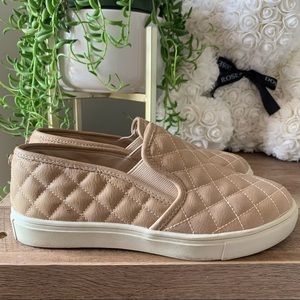 Steve Madden Ecentrcq Slip-On sneaker 5.5